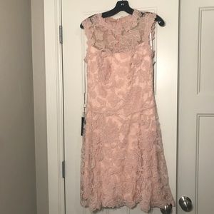 Blush TadashShoji Dress (4) Never Worn/With Tags.